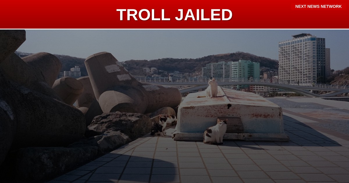 JUSTICE SERVED: American Internet Troll 'Johnny Somali' Gets 6 Months Hard Labor in South Korea