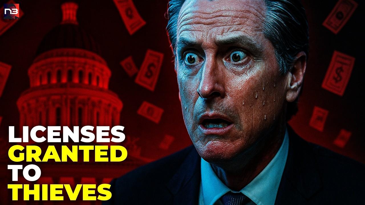 BOMBSHELL: Newsom's California Caught Issuing Licenses to KNOWN FRAUDSTERS in $800 MILLION Taxpayer Heist