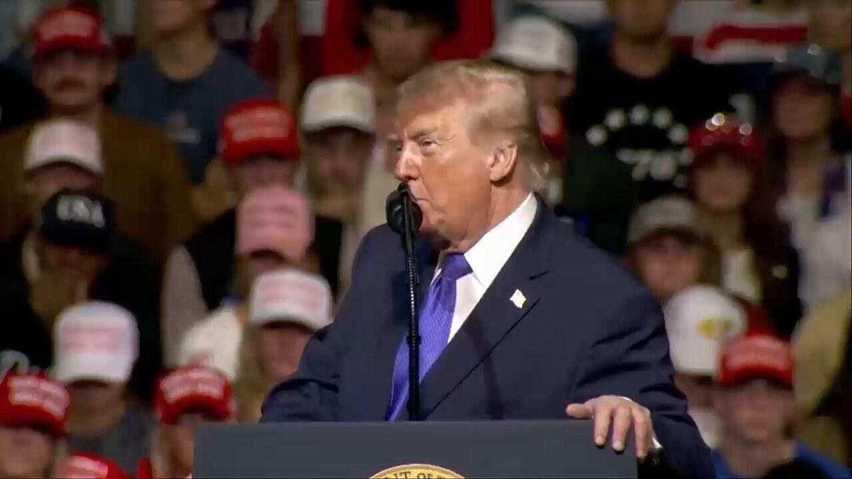 Trump Credits Tariffs for $1.5B Factory and 1,800 Jobs in South Carolina