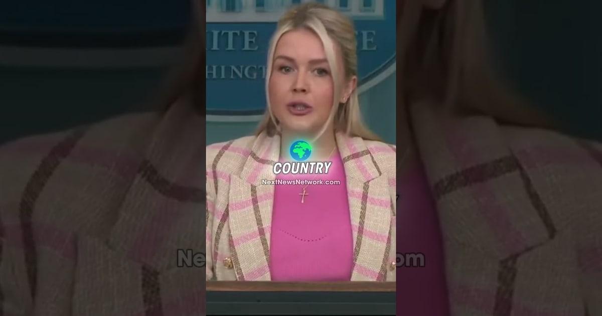 EXPOSED: Trump Team Reveals Democrats Think Their OWN Voters Are Too STUPID to Get ID