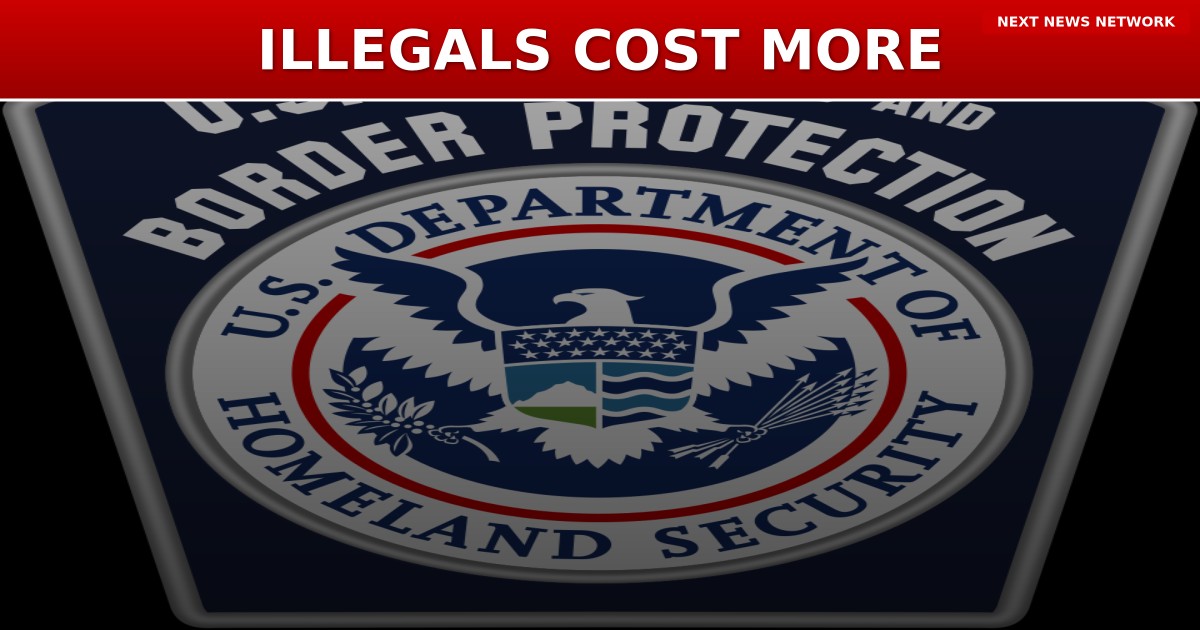 EXPOSED: Illinois ILLEGALS Cost Taxpayers MORE Than Trump's Enforcement Operations