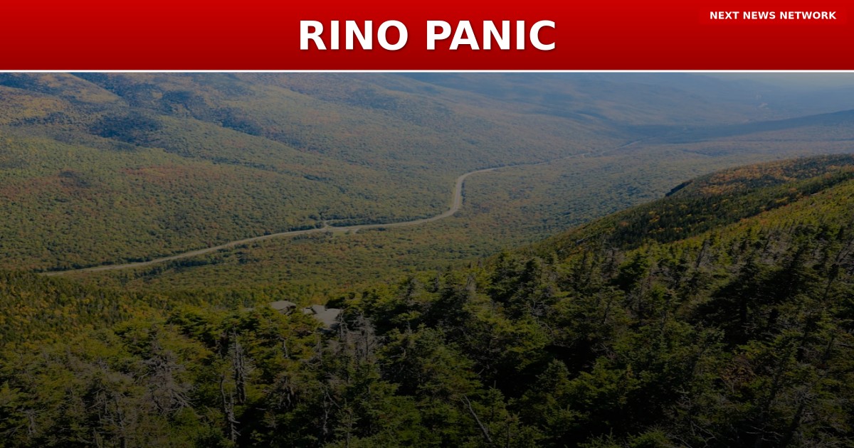 RINO ESTABLISHMENT in PANIC as Liberty Candidate Threatens New Hampshire Senate Dreams