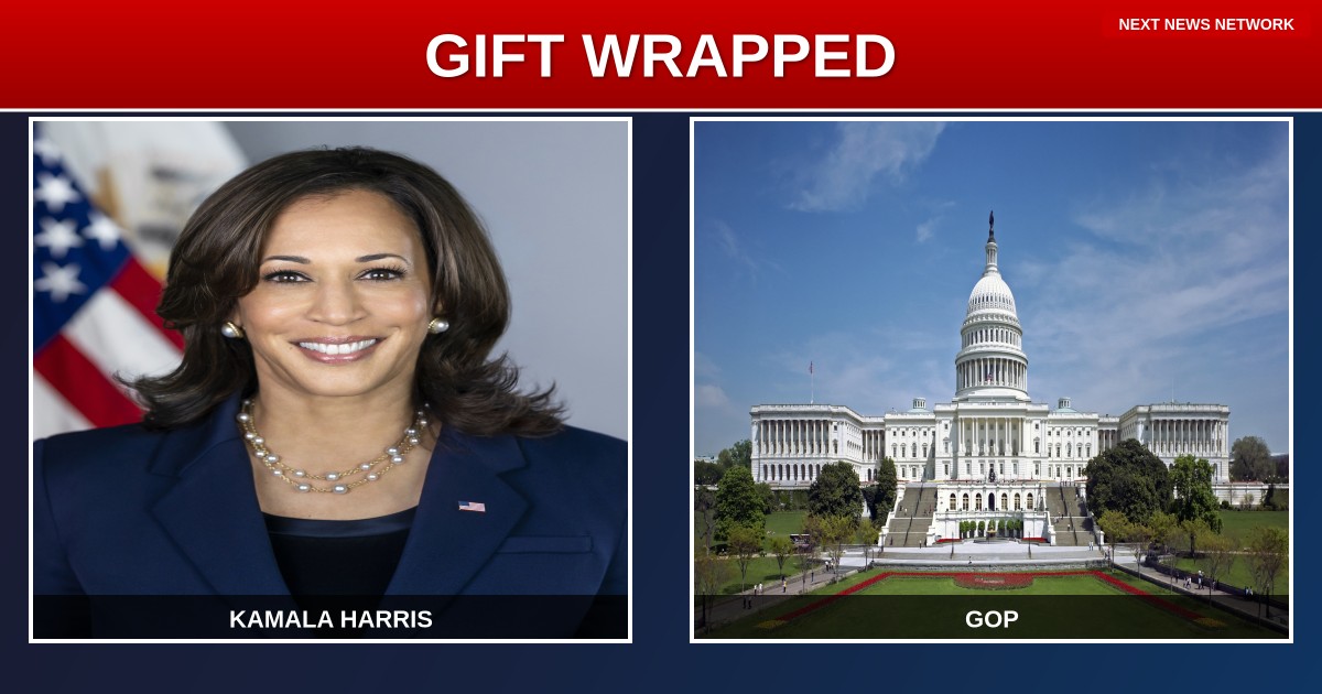 GIFT WRAPPED: Kamala Harris 2028 Run Would Be 'BEST NEWS' for GOP Victory