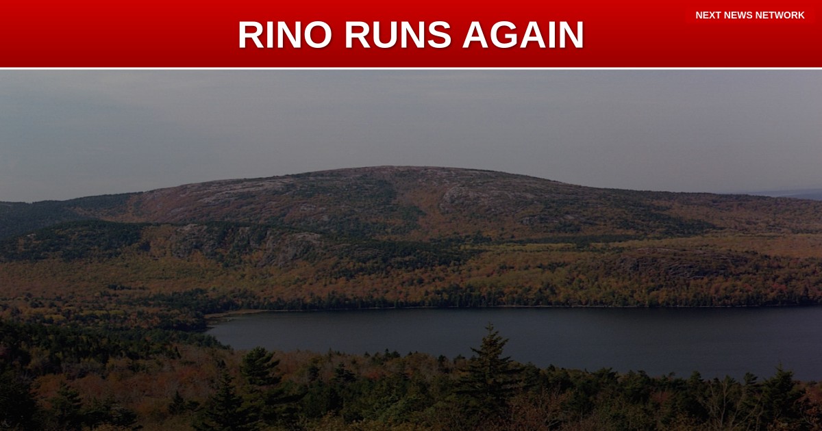 RINO Susan Collins CONFIRMS 2026 Senate Run - Patriots Prep Primary Challenge