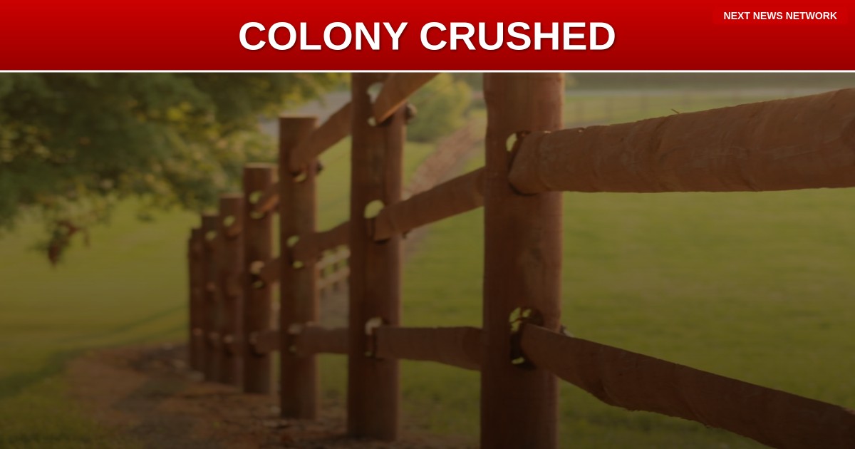 VICTORY: Texas 'Illegal Immigrant Haven' Colony Ridge CRUSHED With $68 Million Penalty Under Trump