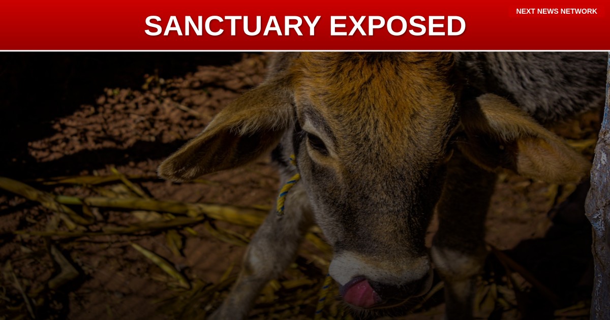 EXPOSED: Democrat Sanctuary Cities Want EXEMPTION From Civil Rights Laws as Economy CRASHES