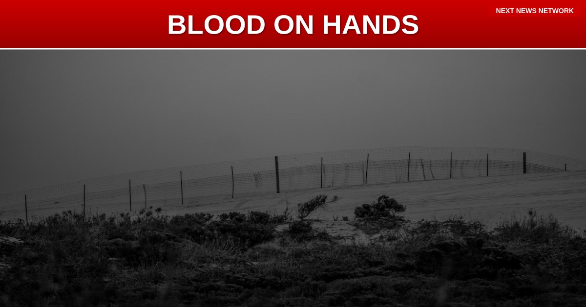 BLOOD ON BIDEN'S HANDS: Illegal Alien Released Under Previous Admin KILLS Three Americans in Horrific Crash