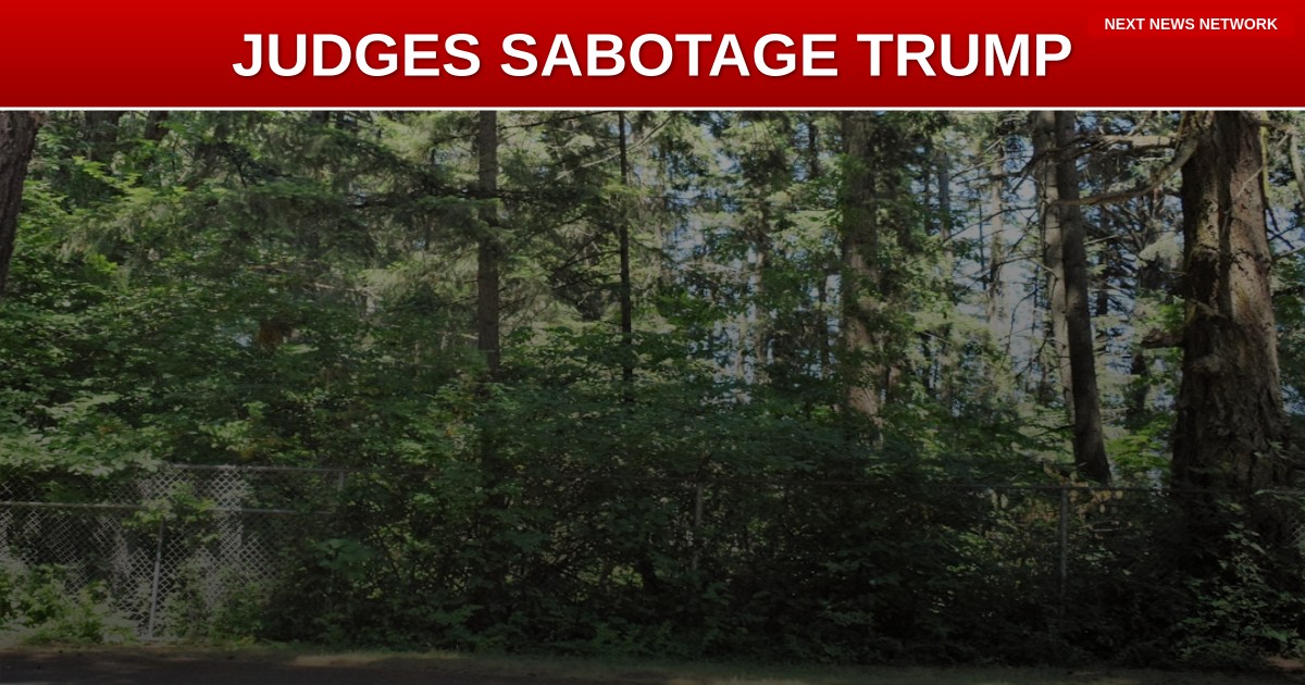 EXPOSED: Liberal Judges Use Dirty 'Workarounds' to SABOTAGE Trump's Immigration Victory