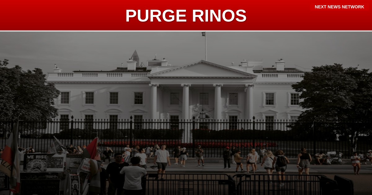 TRUTH BOMB: Conservatives Must PURGE RINOs Before They Can Defeat Democrats
