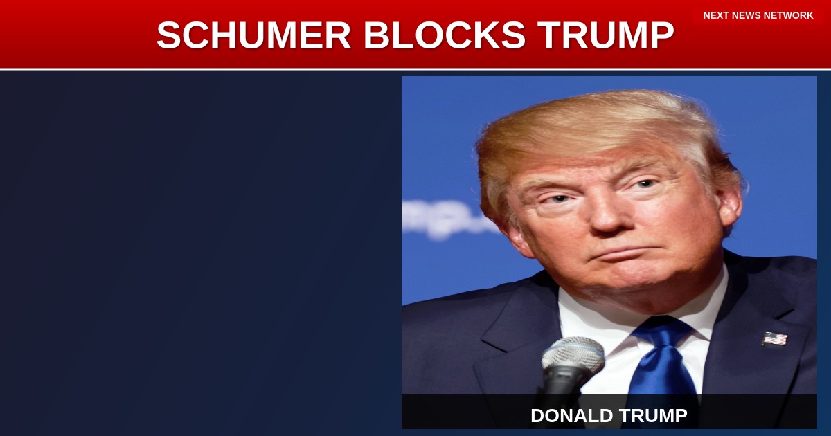 OBSTRUCTION: Schumer BLOCKS Trump's ICE Reform Deal, Government Shutdown Looms