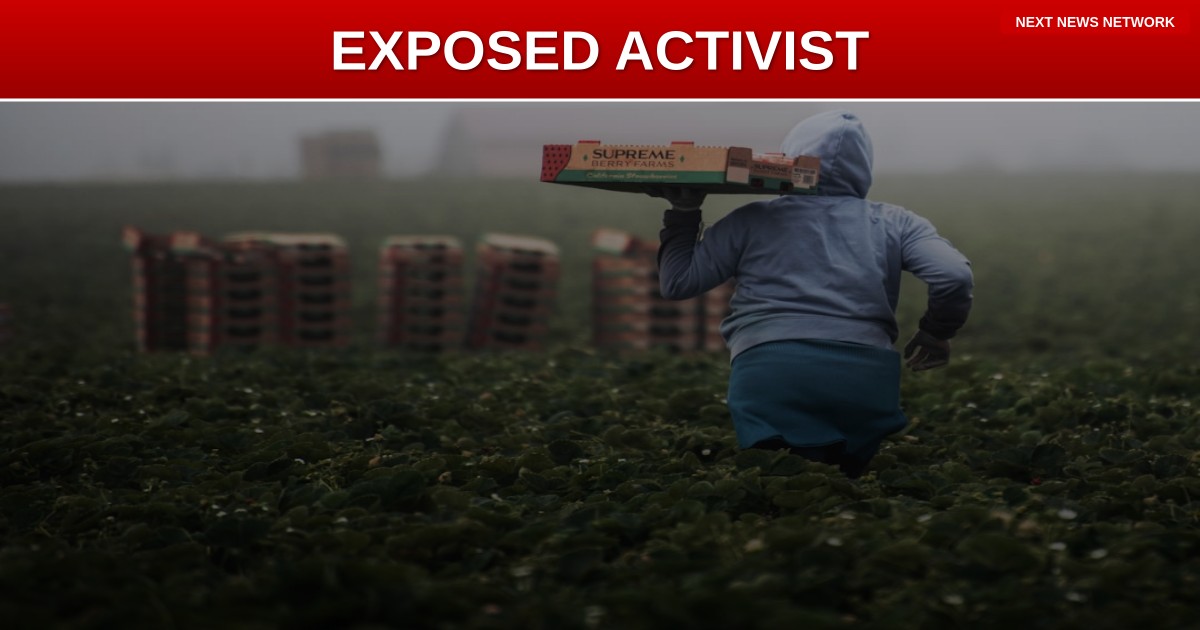 EXPOSED: Radical Activist Demands U.S. Immigration Laws BOW to Islamic Doctrine