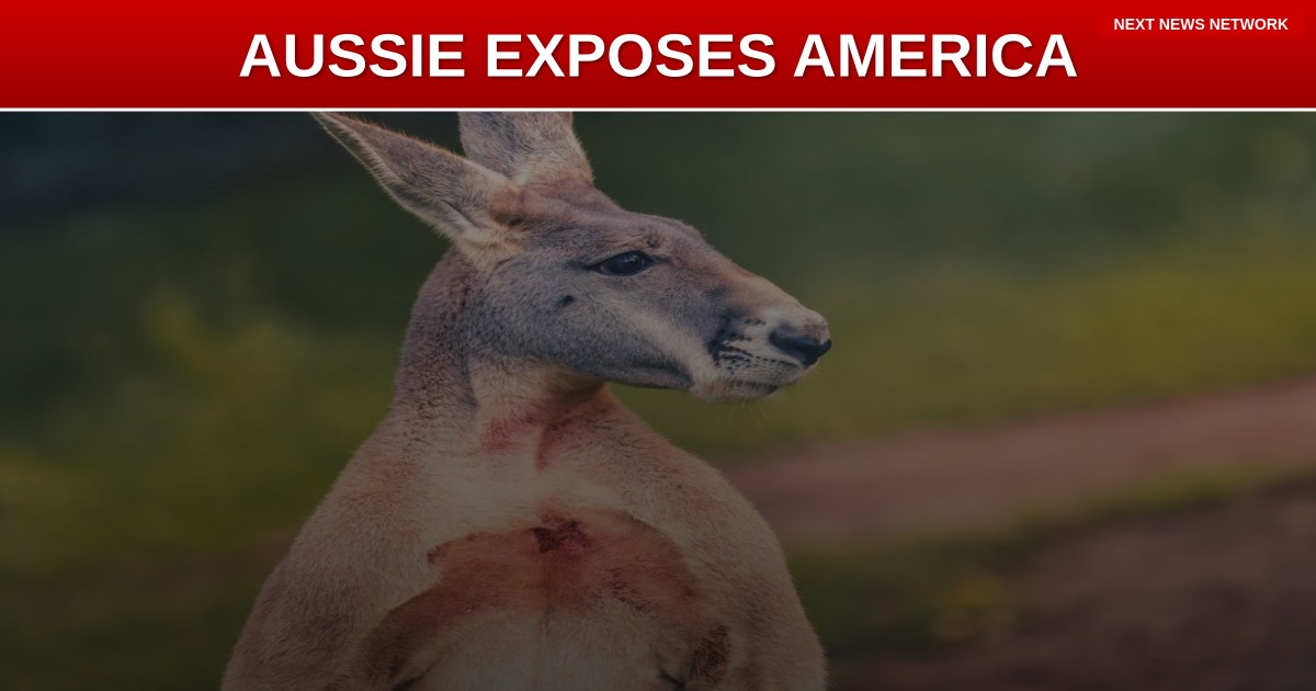 CULTURAL CLASH: Australian Conservative EXPOSES America's Valentine's Day Confusion