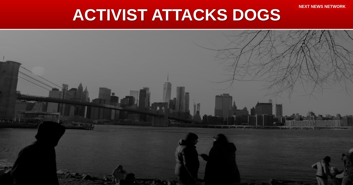 UNHINGED: Pro-Hamas Activist ATTACKS Americans Who Love Their Dogs