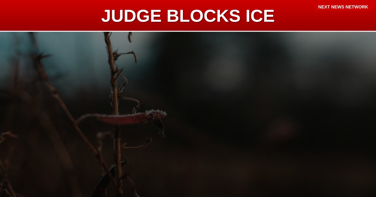 OBAMA JUDGE Blocks ICE From Detaining Criminal Illegal as Trump's Mass Deportation Faces Deep State Resistance