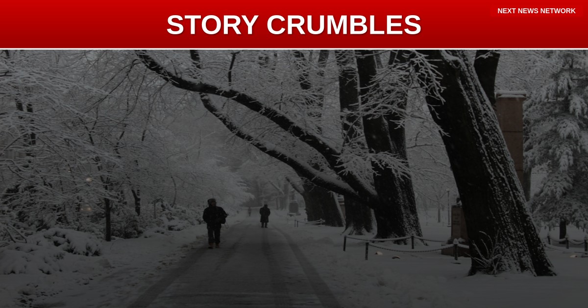 EXPOSED: Media's Irish 'Victim' Story CRUMBLES as ICE Reveals Immigrant's Criminal Past