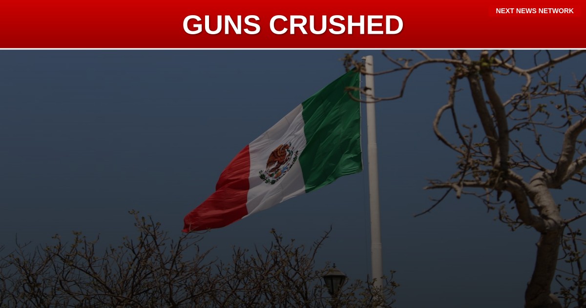 WINNING: Trump's ATF SEIZES 36K Illegal Guns, CRUSHES Cartel Operations Biden Ignored