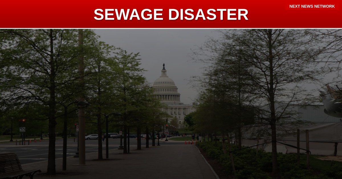 DEI DISASTER: D.C. Streets FLOODED With Sewage as Woke Policies Destroy America's Capital