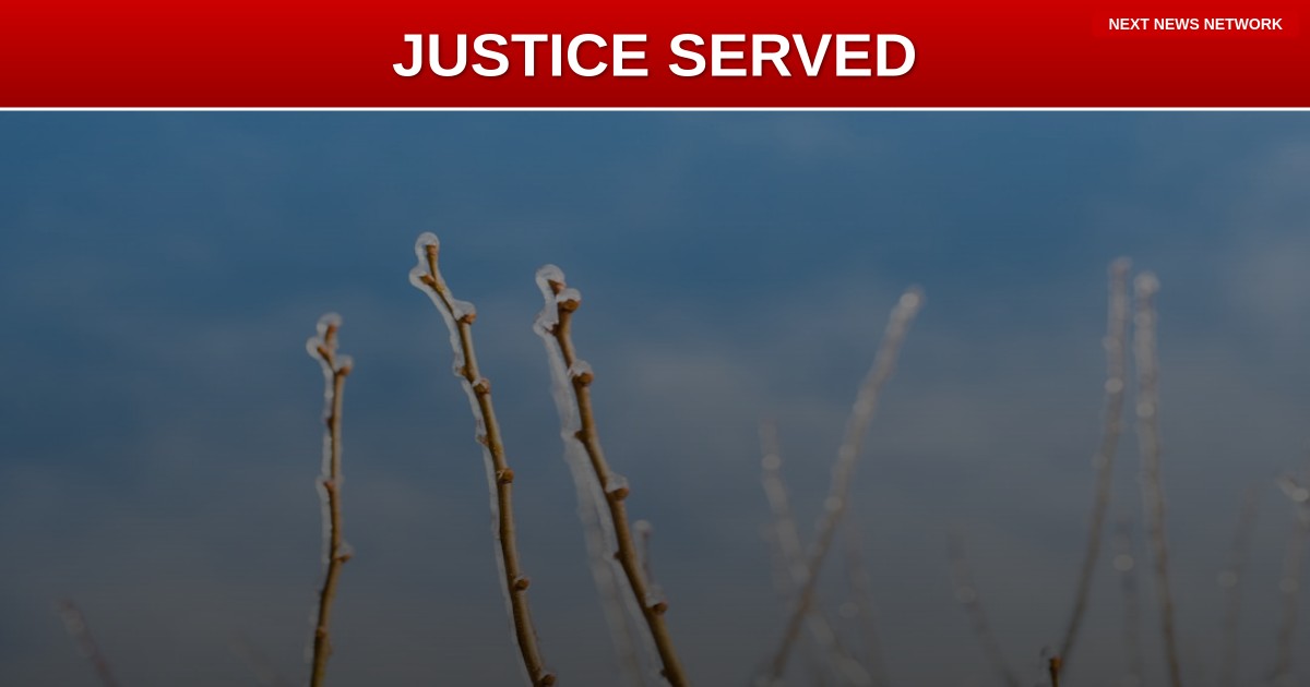 JUSTICE SERVED: Portland Anti-ICE Thug Faces 20 Years for BRUTAL Rock Attack on Federal Agent