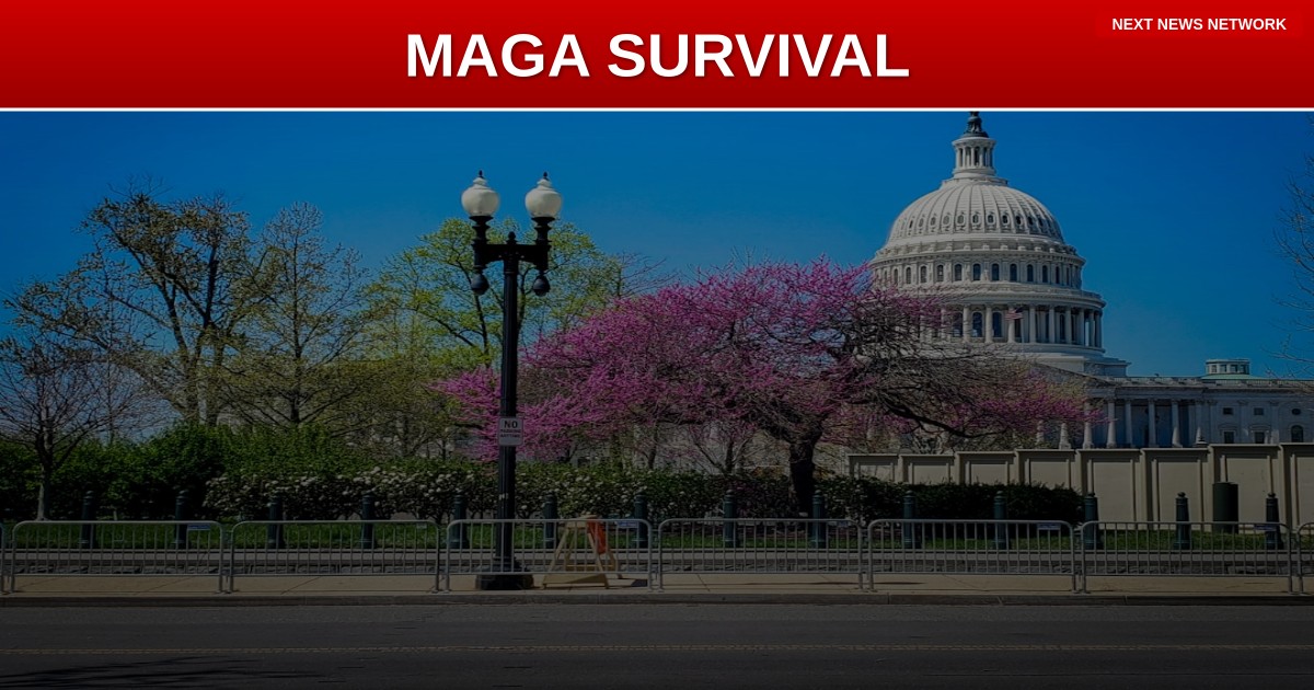 CRITICAL MIDTERMS: These 2026 Races Will Determine if Trump's MAGA Agenda Survives or Dies