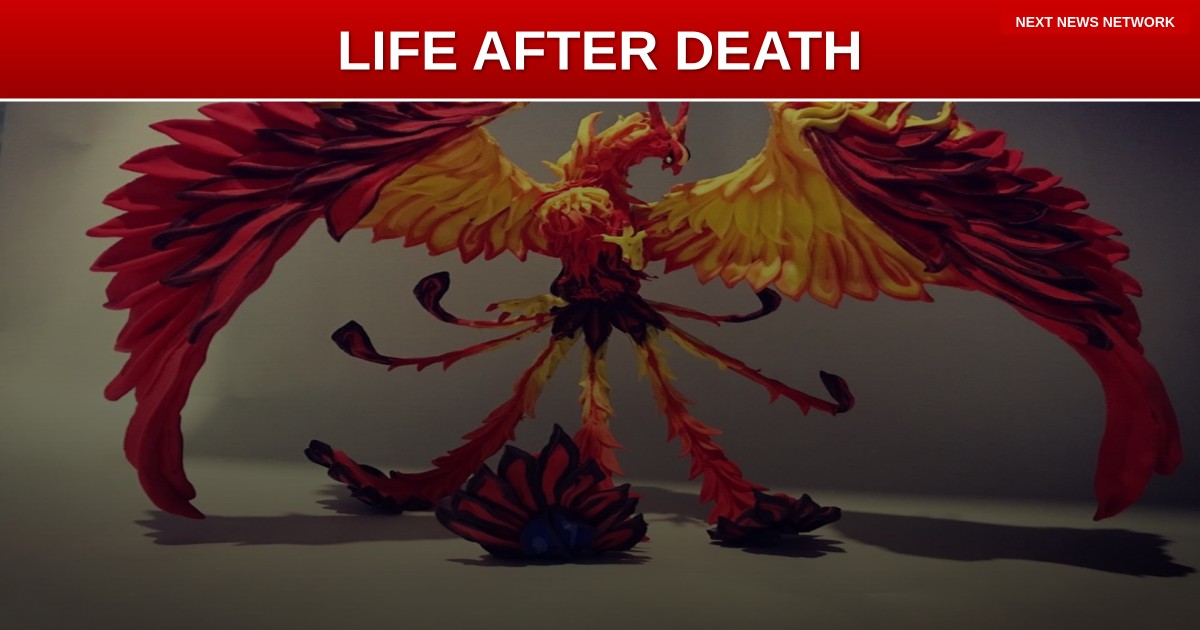 BREAKING: Scientists Find CONSCIOUSNESS May Continue After Death - Could Change Medical Ethics Forever