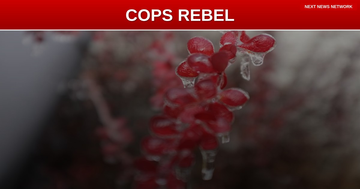 REBELLION: Maryland Law Enforcement DEFIES State's Anti-ICE Rules, Backs Trump Deportation Mission