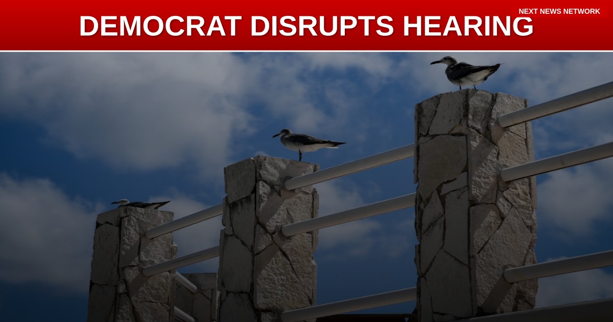 IMPEACHMENT Democrat DISRUPTS GOP Hearing on Illegal Immigrant Truck Licenses