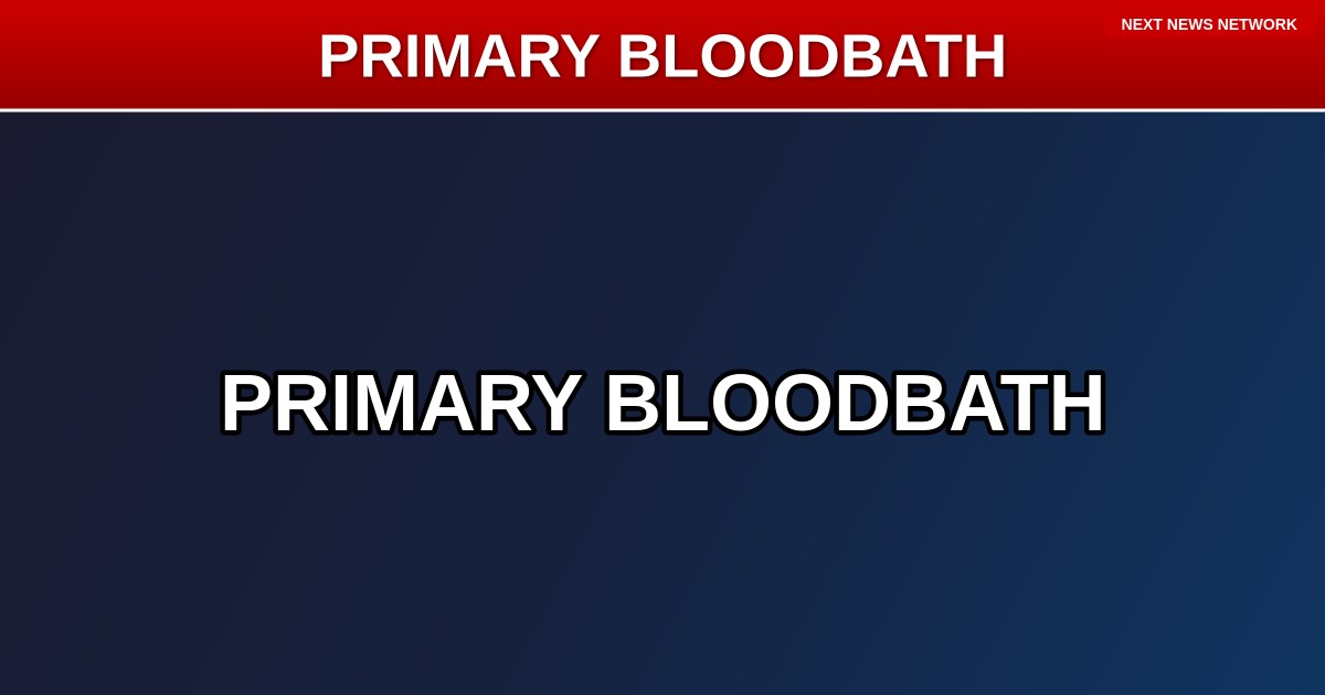 LEFTIST CIVIL WAR: Progressive 'Squad' Wannabe DEFEATED in North Carolina Primary Bloodbath