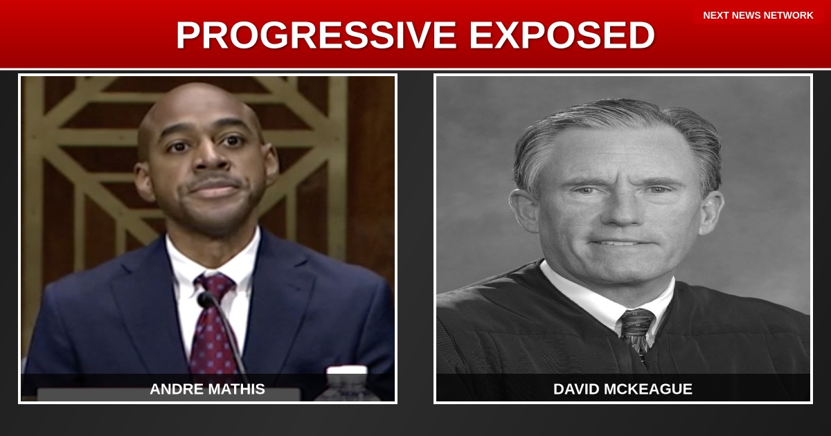 EXPOSED: Progressive Insurance Caught in RACIST Grant Scheme - Patriots Call for Boycott