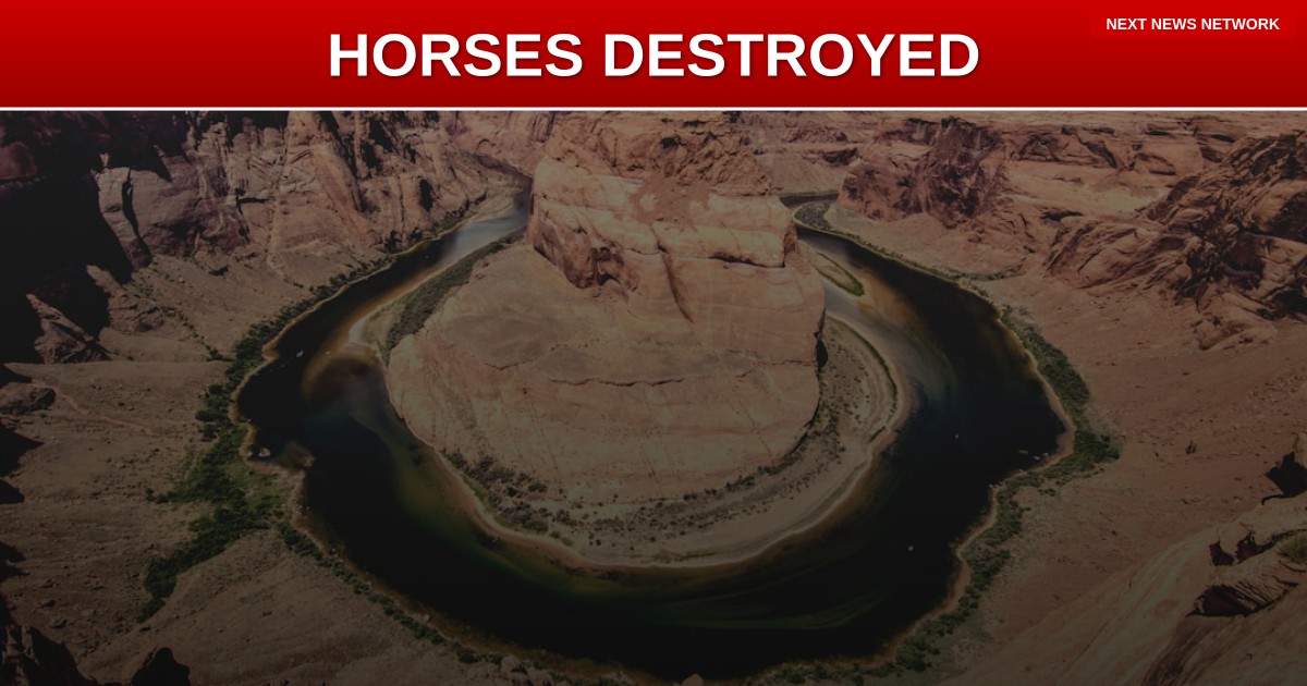 EXPOSED: Arizona Democrat Governor DEFIES State Law to Destroy Wild Horse Herd