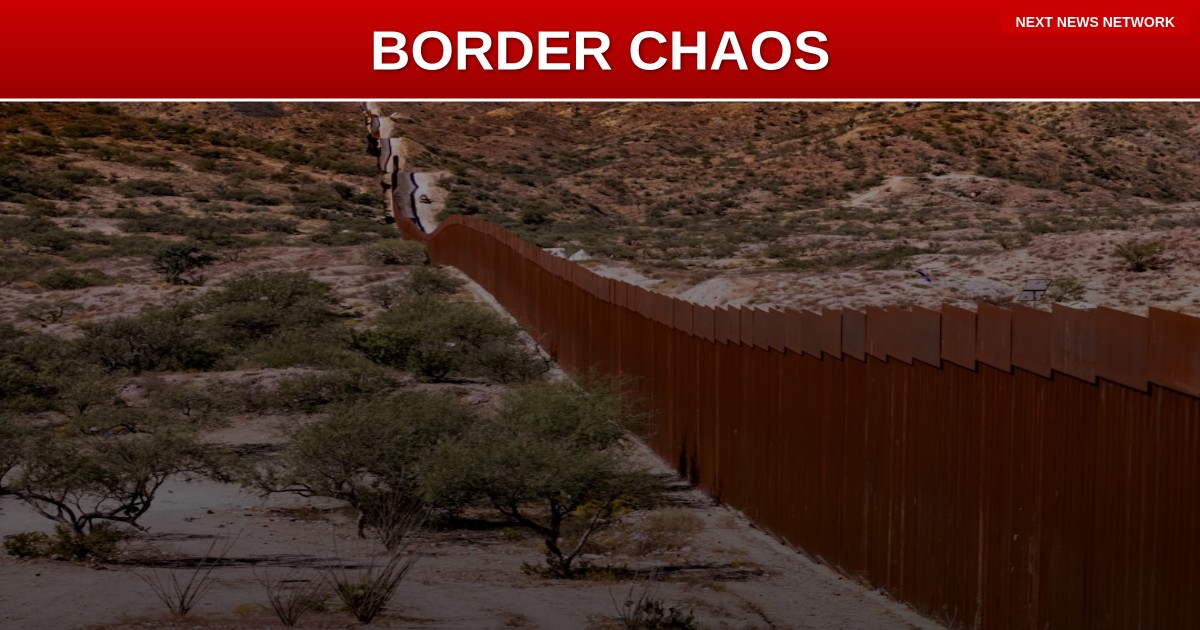 BORDER CHAOS: CBP Uncovers Pythons, Foxes, and METH in Bizarre Smuggling Operations