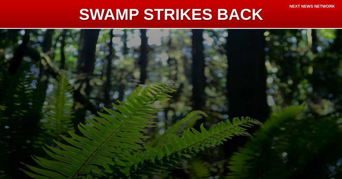 EXPOSED: Deep State Cover-Up Machine Still Operating Despite Trump's Return to Power