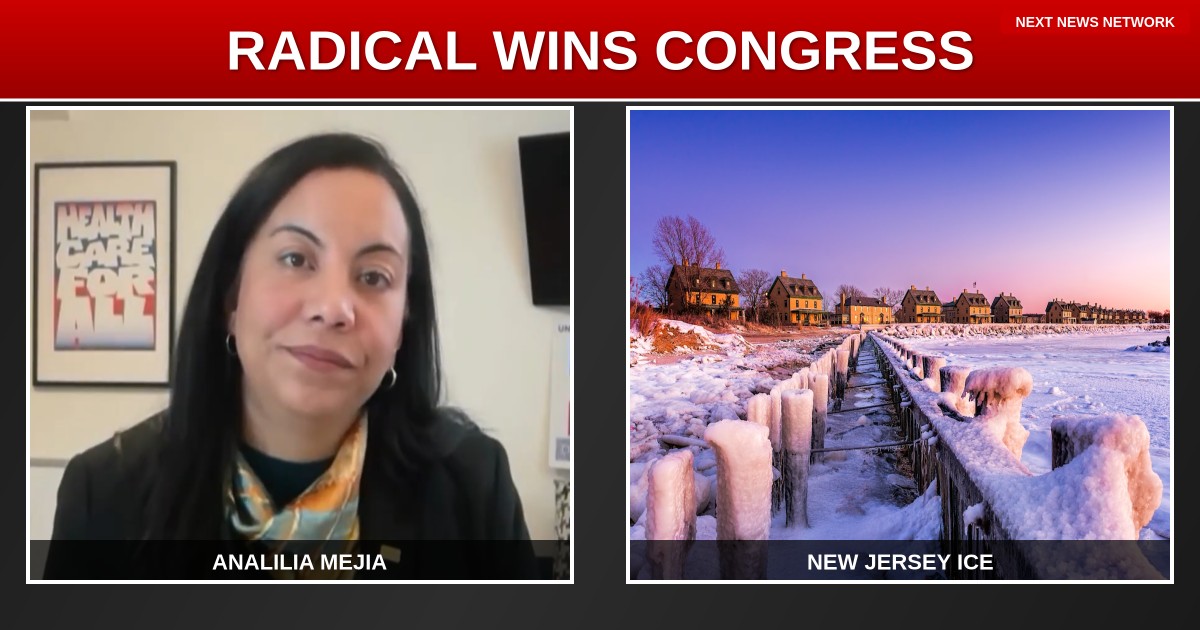 RADICAL LEFTIST Analilia Mejia Wins Congress Seat, Wants to ABOLISH ICE and Force $25 Minimum Wage