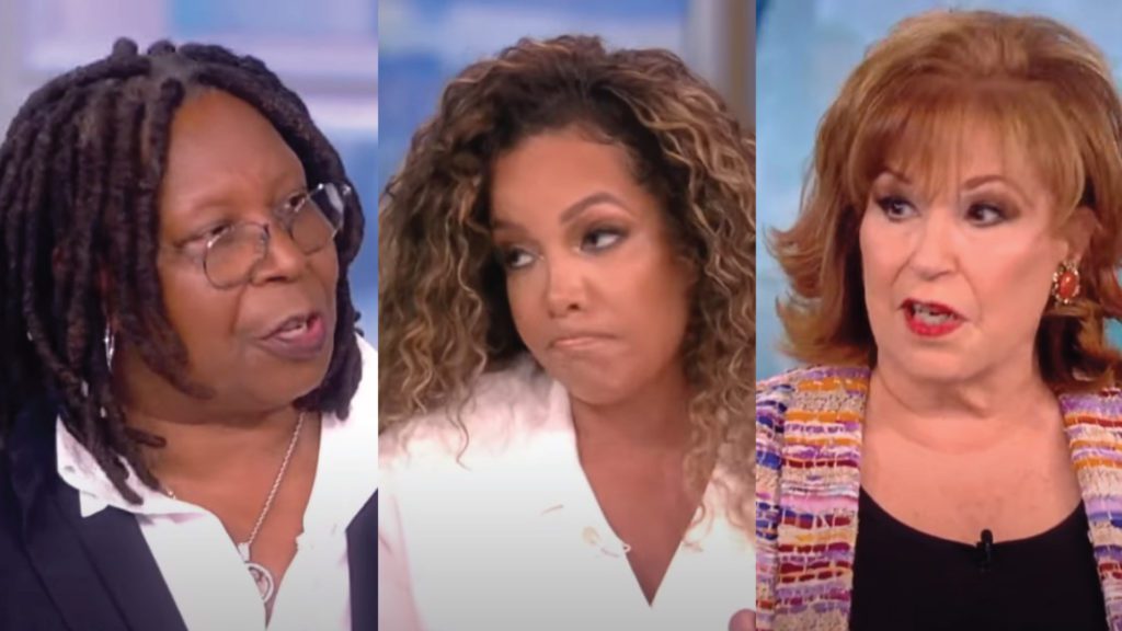 Several hosts of The View agree to get rid of the Republican party.