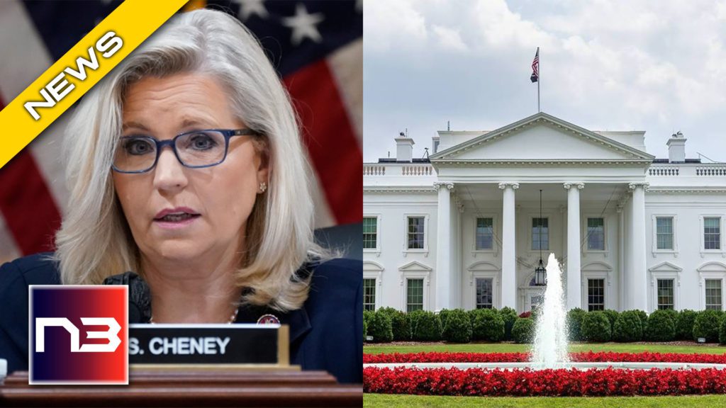 HAHA! Liz Cheney's 2024 Dreams CRUSHED By Political Strategists!