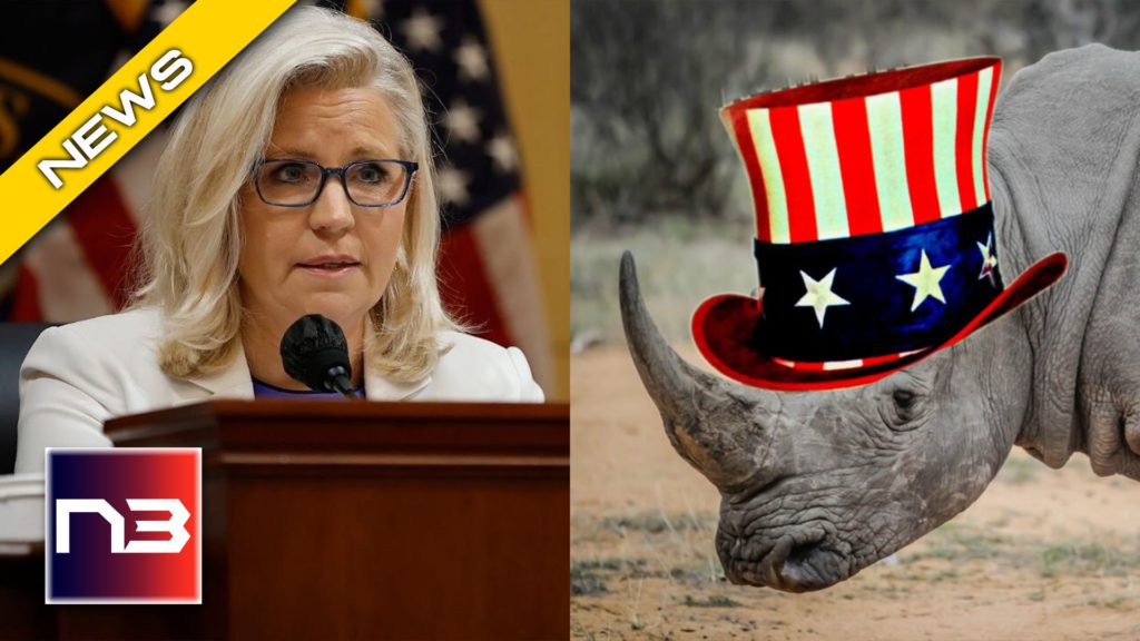 RINO Liz Cheney Commits Political SUICIDE with this Foolish Next Move After Trump CRUSHED Her