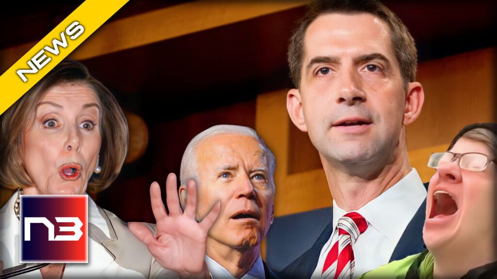 Get Excited! Tom Cotton Believes This Will Happen As a Result of The Midterms