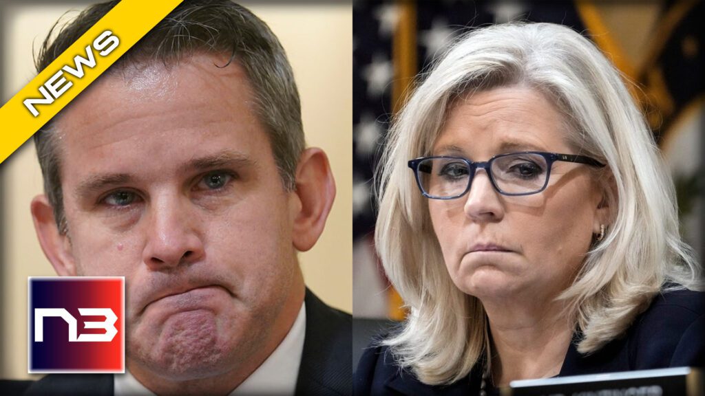HILARIOUS: Kinzinger Compares Liz Cheney to Heroic Wartime Leader and Gets SLAMMED