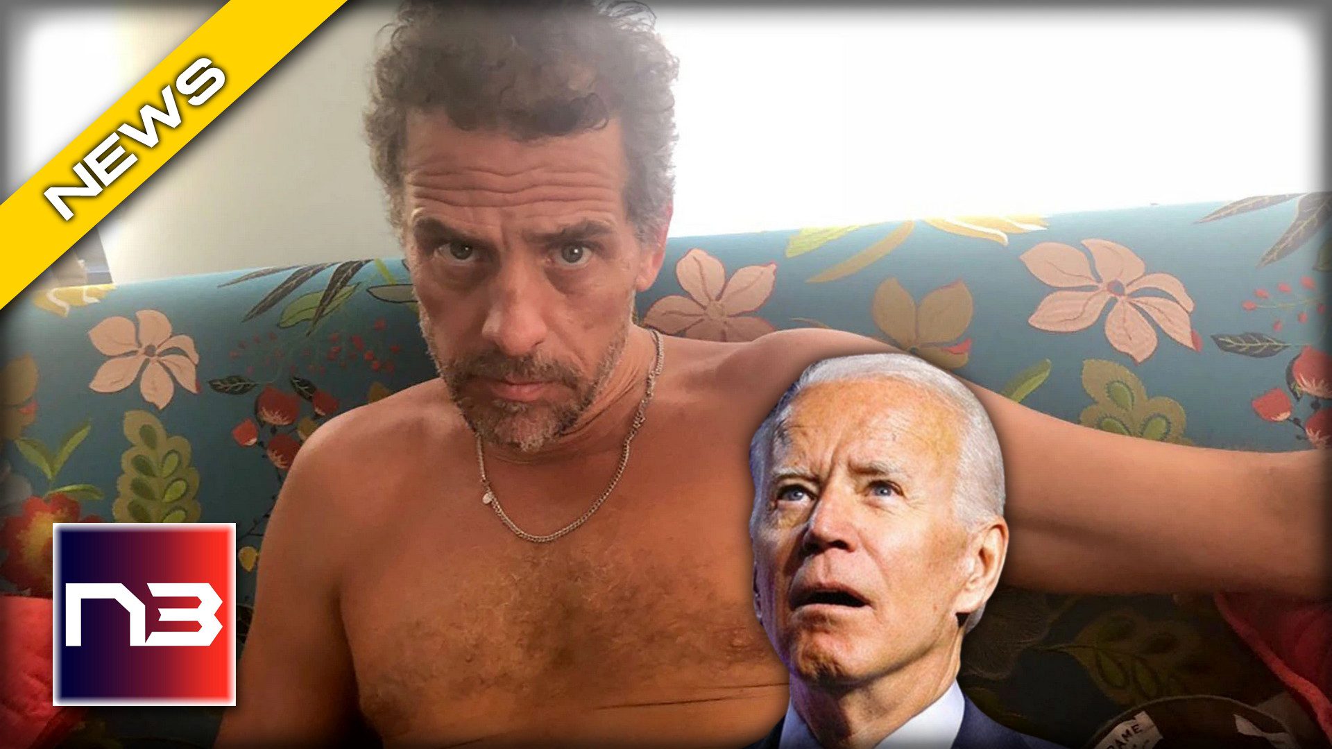 Hunter biden looks up from his laptop while naked.