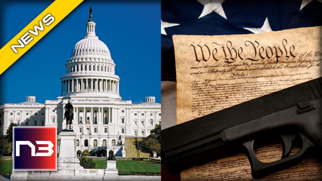Landmark gun law repeal in Washington D.C. paves way for nationwide recognition of 2nd Amendment rights