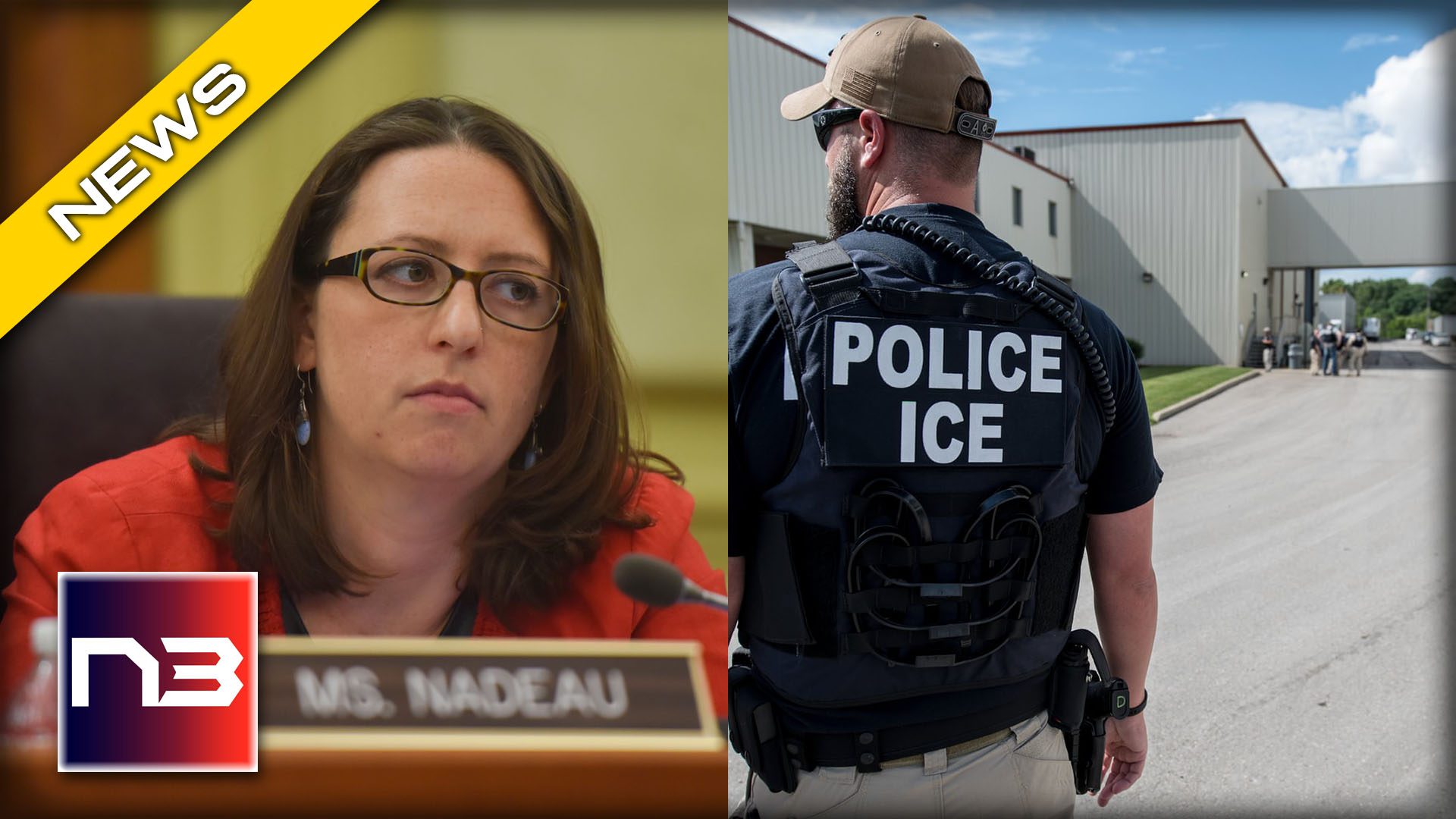Woke Liberal DC DEM Gets her own words thrown back into her face on illegal immigration