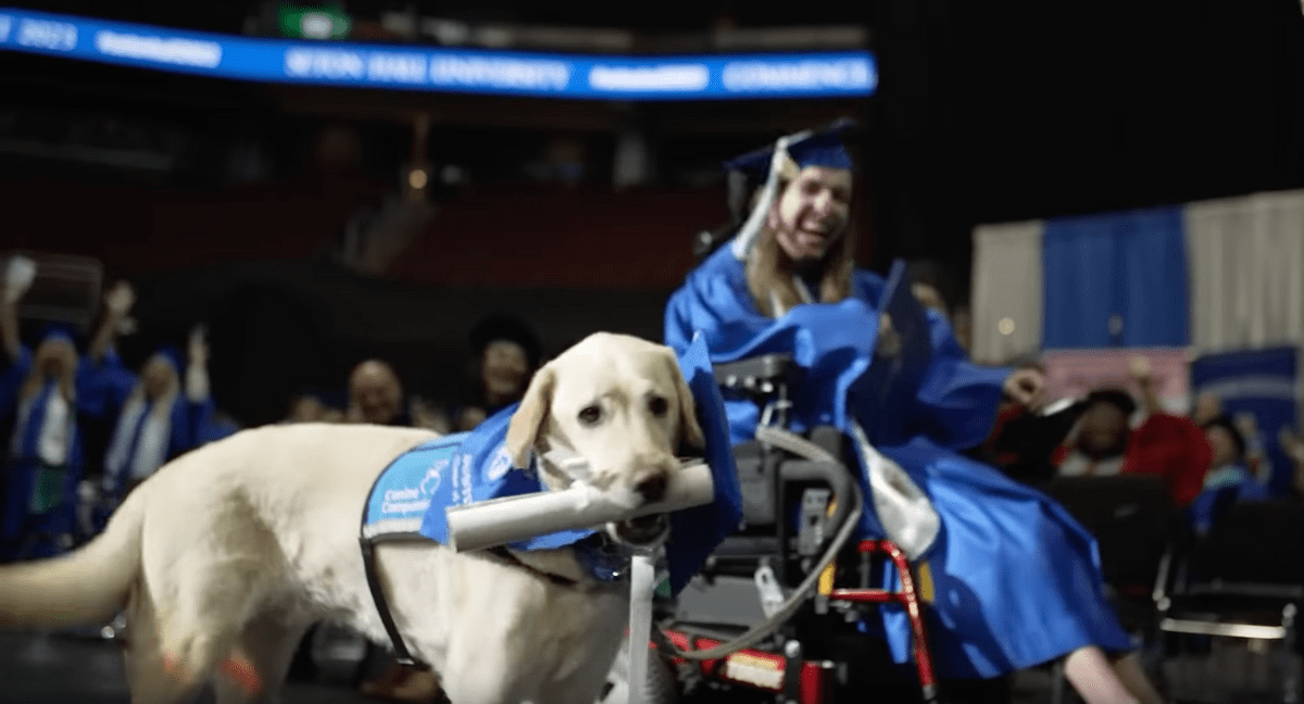 Watch This Incredible Video: Service Dog Steals the Show at Seton Hall Graduation - Audience Goes Wild!
