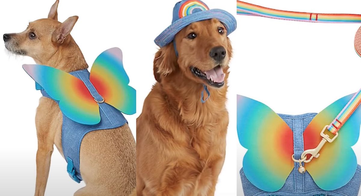 Shocking Reveal: PetSmart's Controversial LGBTQ Themed Products for 'Gender-Fluid Fish' and Pets Spark Major Outrage - Find Out Why Inside!