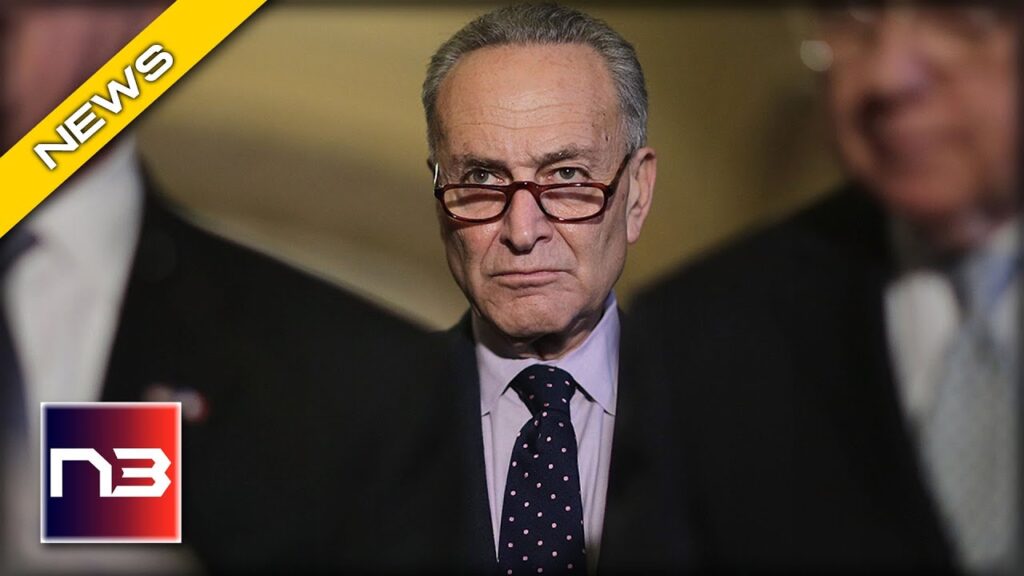 Chuck Schumer's Outrageous Attack on the Supreme Court Exposed!