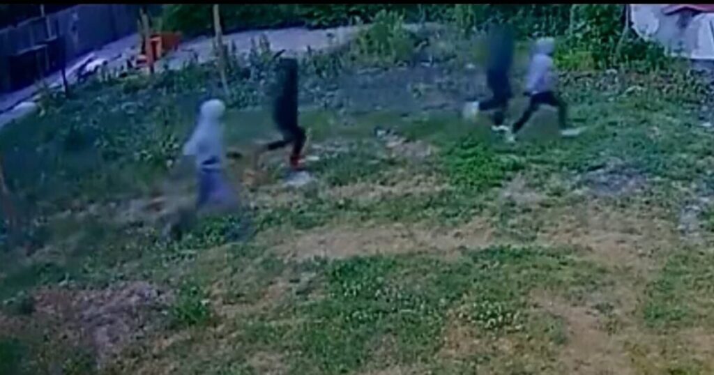 Chicago: Explosive Footage Reveals Deadly Ambush Strategies Employed by Teenage Gunmen