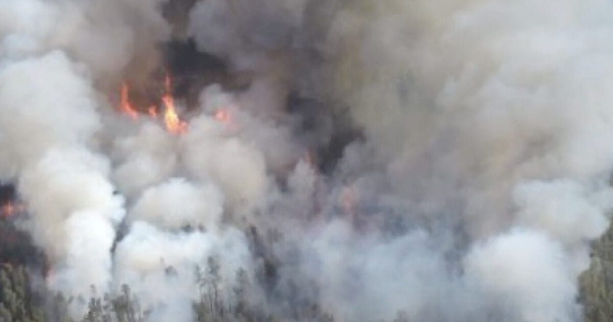 Brave Firefighters Tackle Raging Wildfires in Northern Michigan: Watch the Intense Video!