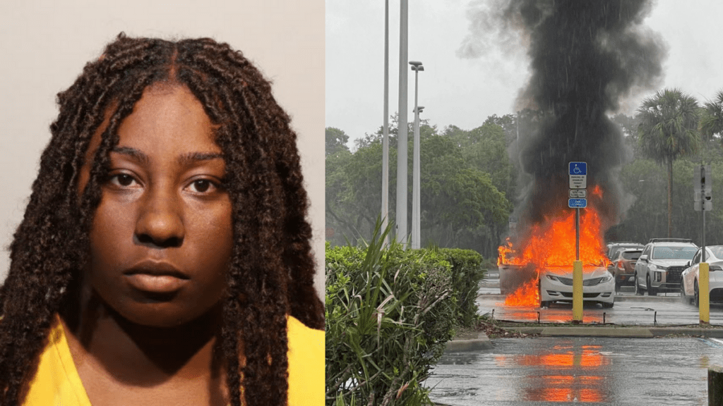 Shocking: Mother Caught Shoplifting as Her Kids Are Trapped in a Burning Car! Find Out What Happened Next!
