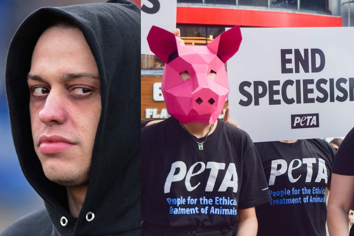 Shocking Leaked Voicemail: Pete Davidson's Explosive Rant Against PETA Over His New Puppy! Find Out What He Said!