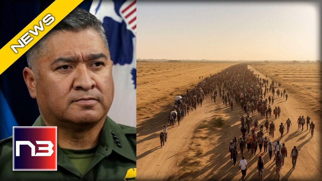 Shock: Border Patrol Chief Abandons Fight Against Crisis!