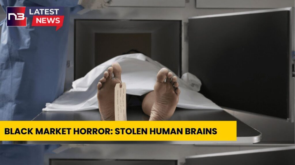 Shocking: Illegal Trade of Human Brains & Skin in Black Market Horror!
