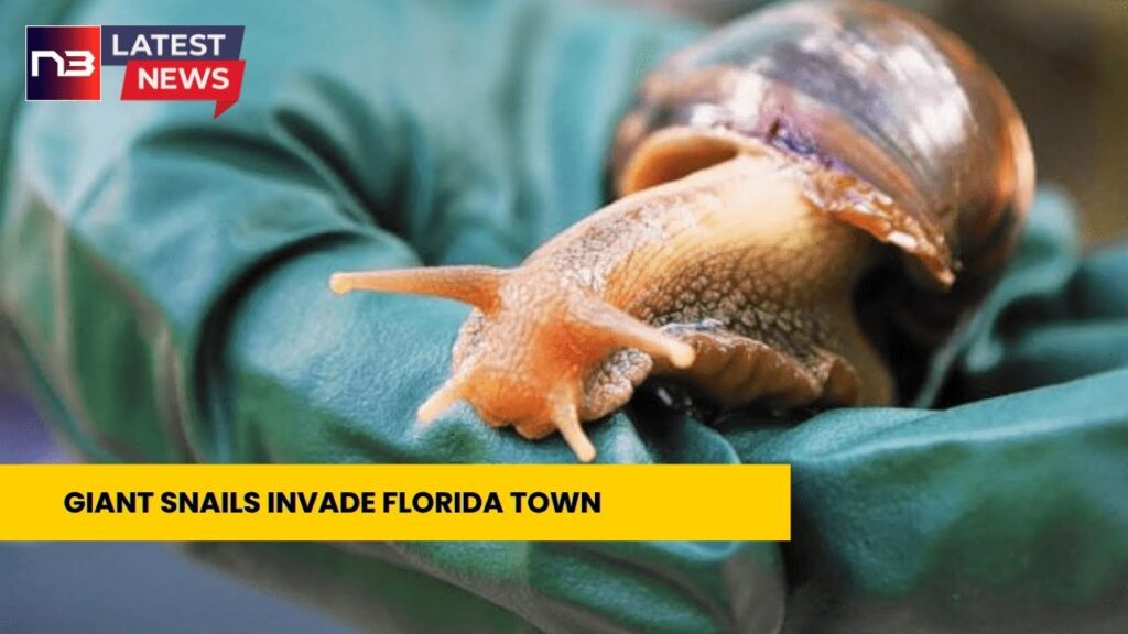 Unbelievable Quarantine in Florida Town: Epic War Waged to Wipe Out 'Hellish Snails'!